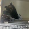luv_4anija
